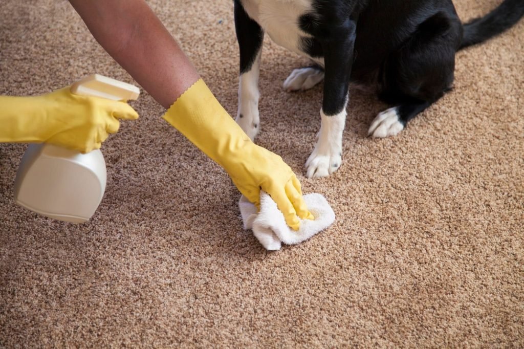 Pet Stain Removal Services Topeka, KS